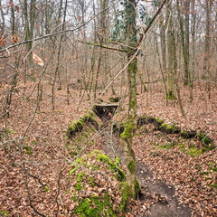 20220123160548-94d9d9c1